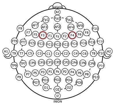 Effect of Modulating DLPFC Activity on Antisocial and Prosocial Behavior: Evidence From a tDCS Study